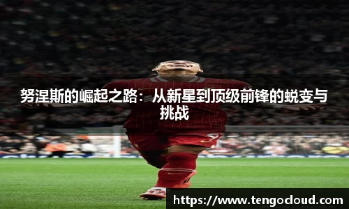 XK星空体育