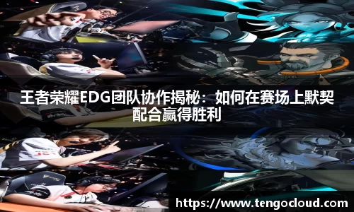 王者荣耀EDG团队协作揭秘：如何在赛场上默契配合赢得胜利